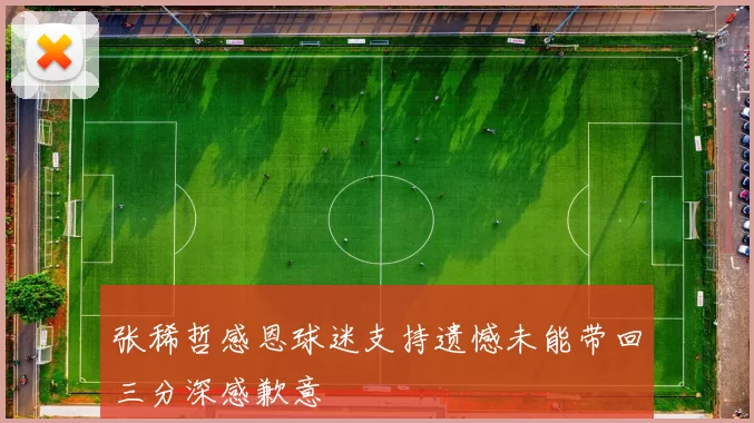 张稀哲感恩球迷支持遗憾未能带回三分深感歉意