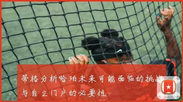 蒂格分析哈珀未来可能面临的挑战与自立门户的必要性